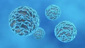 cd4-vih